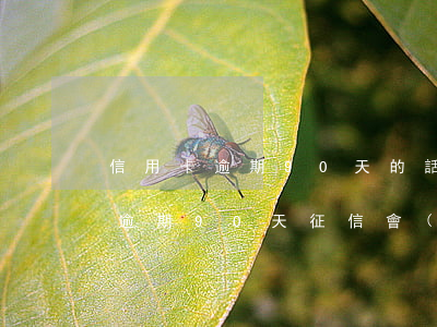 信用卡逾期90天的話術(shù)(信用卡逾期90天征信會(huì)記錄多久)