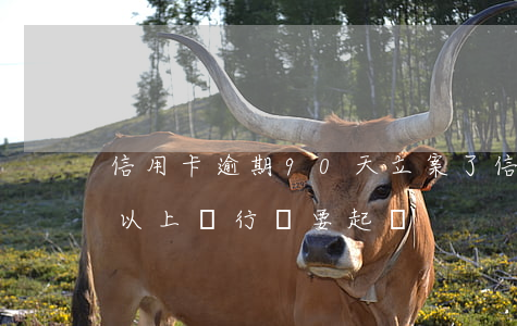 信用卡逾期90天立案了(信用卡逾期90天以上,銀行說要起訴)