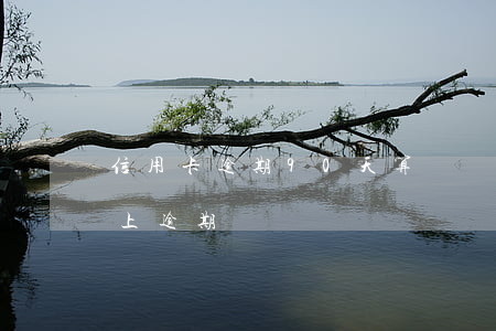 信用卡逾期90天算詐騙嗎(信用卡90天以上逾期)