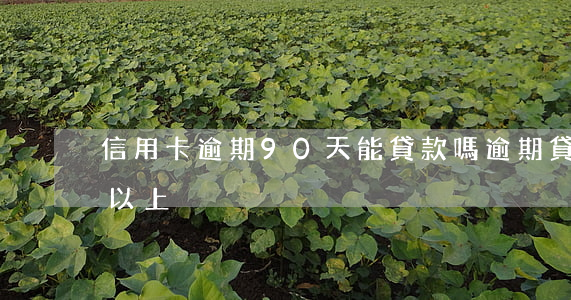 信用卡逾期90天能貸款嗎(逾期貸款90天以上)