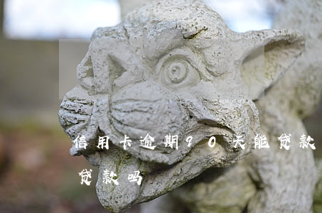 信用卡逾期90天能贷款么(逾期90天可以贷款吗)