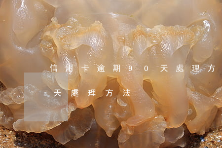 信用卡逾期90天處理方法 信用卡逾期90天處理方法
