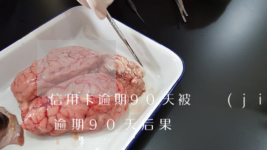 信用卡逾期90天被凍結(jié)(信用卡逾期90天后果)