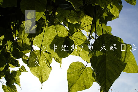 信用卡逾期90天解凍(信用卡逾期解凍要多久)