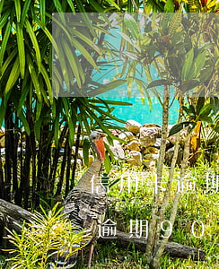 信用卡逾期90天讓換全款怎么辦-信用卡逾期90天讓換全款怎么辦呢