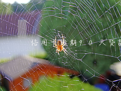 信用卡逾期90天贷款