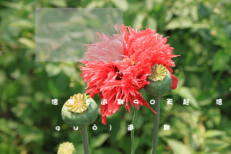 信用卡逾期90天起訴(信用卡逾期多久過(guò)追訴期)