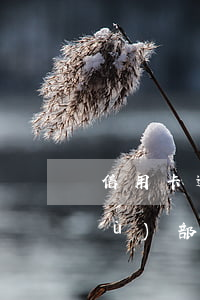 信用卡逾期90天進(jìn)入法務(wù)部(逾期90天以上信用卡賬戶)
