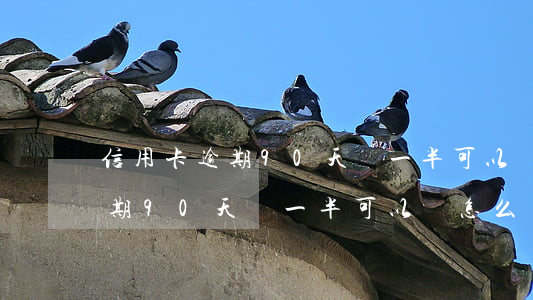 信用卡逾期90天還一半可以嗎-信用卡逾期90天還一半可以嗎怎么辦