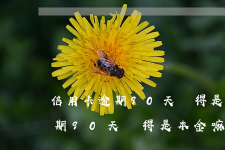 信用卡逾期90天還得是本金嘛-信用卡逾期90天還得是本金嘛怎么辦