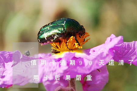 信用卡逾期90天還清了銷戶(逾期后注銷信用卡后果嚴重)