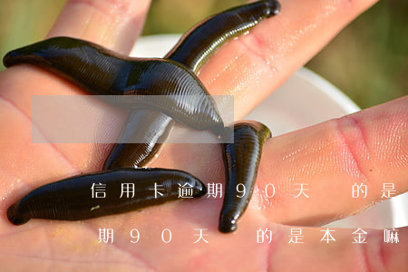 信用卡逾期90天還的是本金嘛-信用卡逾期90天還的是本金嘛還是利息