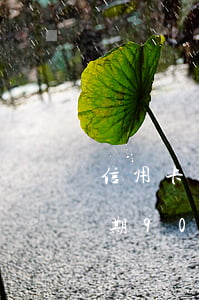 信用卡逾期90天還能不能貸款-信用卡逾期90天還能不能貸款了