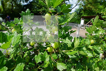 信用卡逾期918億怎么還的 2017年信用卡逾期