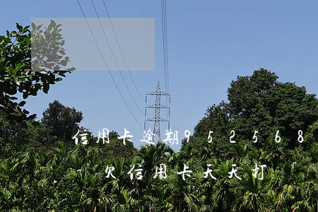 信用卡逾期952568一天到晚打個不停-欠信用卡天天打電話催不接可以嗎