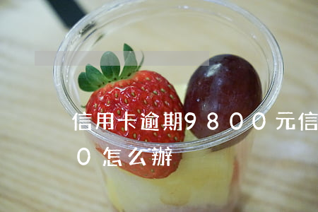 信用卡逾期9800元(信用卡逾期23000怎么辦)