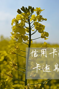 信用卡逾期98万利息多少(2021年信用卡逾期利息怎么算)