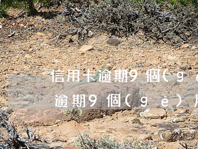 信用卡逾期9個(gè)月2萬以下(信用卡逾期9個(gè)月2萬以下)