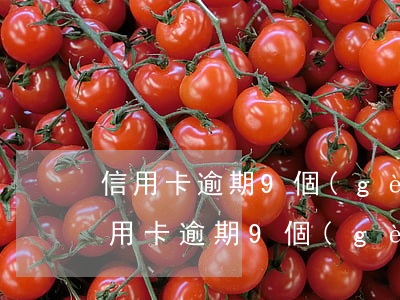 信用卡逾期9個(gè)月可以坐高鐵嗎（信用卡逾期9個(gè)月可以坐高鐵嗎）