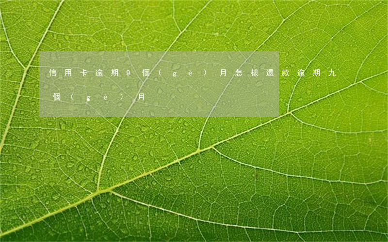 信用卡逾期9個(gè)月怎樣還款(逾期九個(gè)月)
