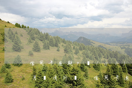 信用卡逾期9個(gè)月過(guò)兩月還清行嗎-信用卡逾期9個(gè)月過(guò)兩月還清行嗎怎么辦