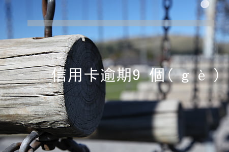 信用卡逾期9個(gè)月還了