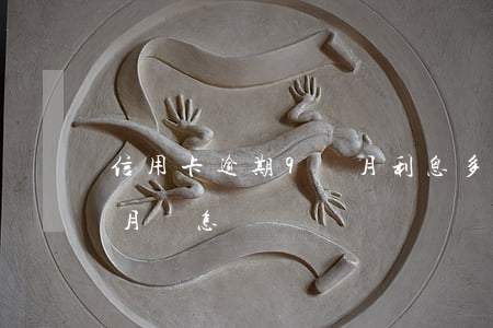 信用卡逾期9個月利息多少(信用卡逾期九個月會怎樣)