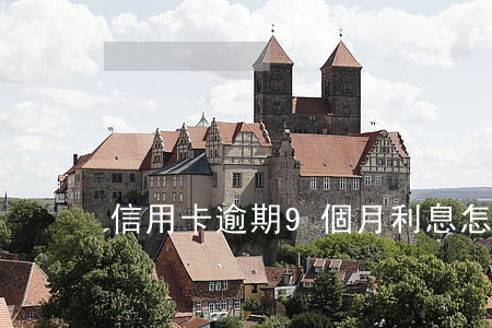 信用卡逾期9個月利息怎么算