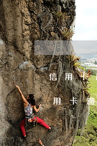 信用卡逾期9個月協(xié)商(十多張信用卡逾期)