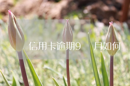 信用卡逾期9個月如何協(xié)商