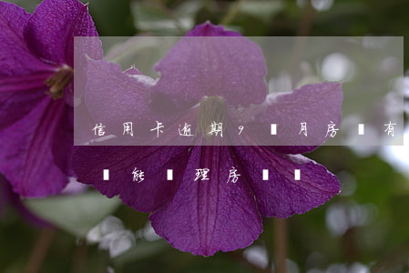 信用卡逾期9個月房貸(有8次信用卡逾期記錄,能辦理房貸嗎)