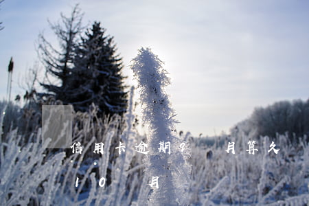信用卡逾期9個月算久嗎(信用卡逾期9個月10個月)