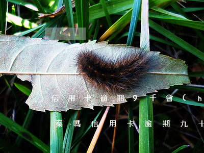 信用卡逾期9千會(huì)報(bào)案嗎(信用卡逾期九十天以上會(huì)怎樣)