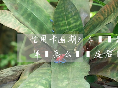信用卡逾期9千會報案嗎(信用卡9萬逾期一年會怎么樣開庭后費用是多少)