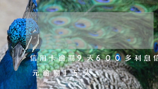 信用卡逾期9天600多利息(信用卡600元逾期15天)