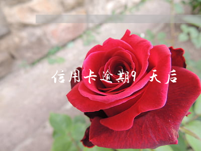 信用卡逾期9天后讓還全款