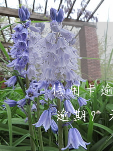 信用卡逾期9天就凍結(jié)了(信用卡逾期9天有事嗎)