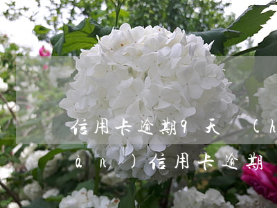 信用卡逾期9天會(huì)怎樣(9萬(wàn)信用卡逾期會(huì)怎么樣)