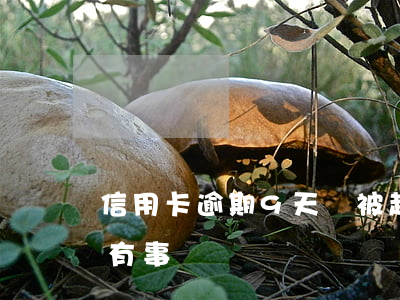 信用卡逾期9天會被起訴嗎(信用卡逾期9天有事嗎)
