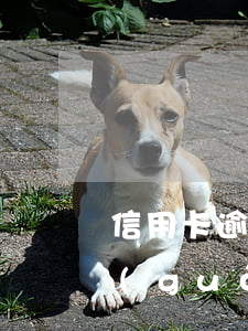 信用卡逾期9天補(bǔ)救(欠信用卡超過(guò)90天怎么辦)
