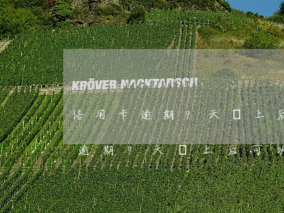 信用卡逾期9天還上后可以使用嗎-信用卡逾期9天還上后可以使用嗎