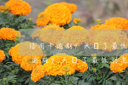 信用卡逾期9天還了最低利息多少-信用卡逾期9天還了最低利息多少錢