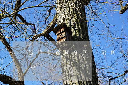 信用卡逾期9天還最低可以嗎-逾期九天嚴重嗎