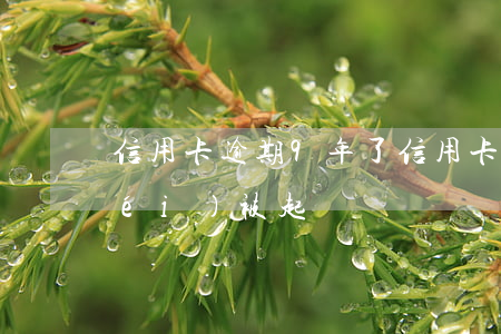 信用卡逾期9年了(信用卡逾期9年了沒(méi)被起訴)