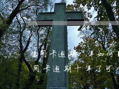 信用卡逾期9年如何協(xié)商停息(信用卡逾期十年了可以和銀行協(xié)商)