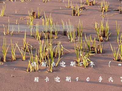 信用卡逾期9年沒(méi)還怎么辦(欠信用卡逾期90多天了也還不上怎么辦?)