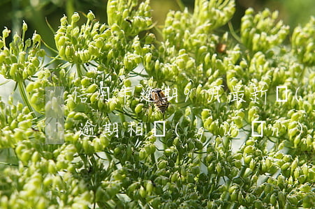 信用卡逾期9月最新規(guī)定(信用卡逾期相關(guān)法律法規(guī))