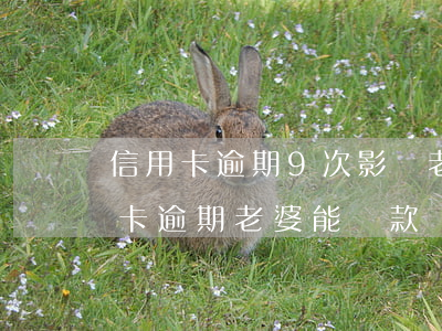 信用卡逾期9次影響老公貸款嗎(老公有信用卡逾期老婆能貸款嗎)
