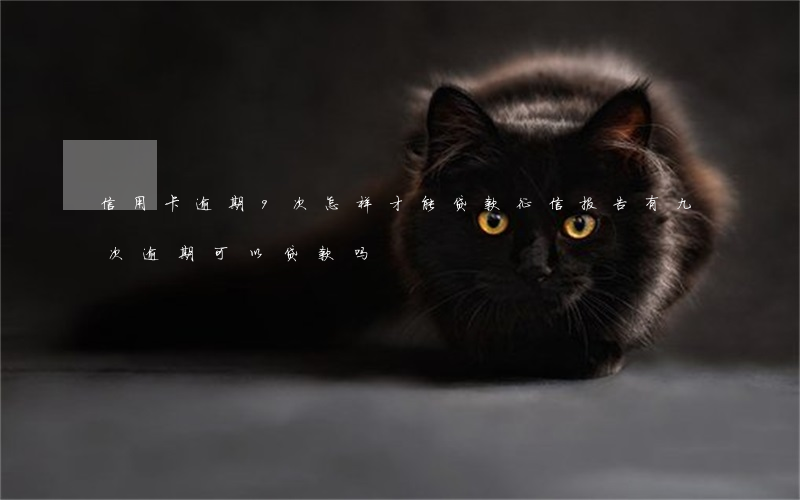 信用卡逾期9次怎样才能贷款(征信报告有九次逾期 可以贷款吗)