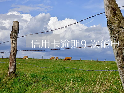 信用卡逾期9次能申請(qǐng)房貸嗎